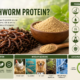 earthworm protein facotry