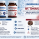 lumbrokinase