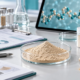 Earthworm peptide powder sample with formulation documents, quality files, and peptide-chain laboratory visual