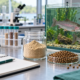 Conceptual aquafeed research bench with a powder jar, feed pellets, sample tubes, notebook, balance, and rainbow trout aquarium