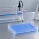 Conceptual electrophoresis workbench with a transparent gel tank, micropipette, uniformly blue gel without activity bands, and an unmarked notebook
